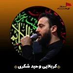 933مداحی رویام ای همه دنیام زندگی و آقام  یا زینب(س) از محمود عیدانیان